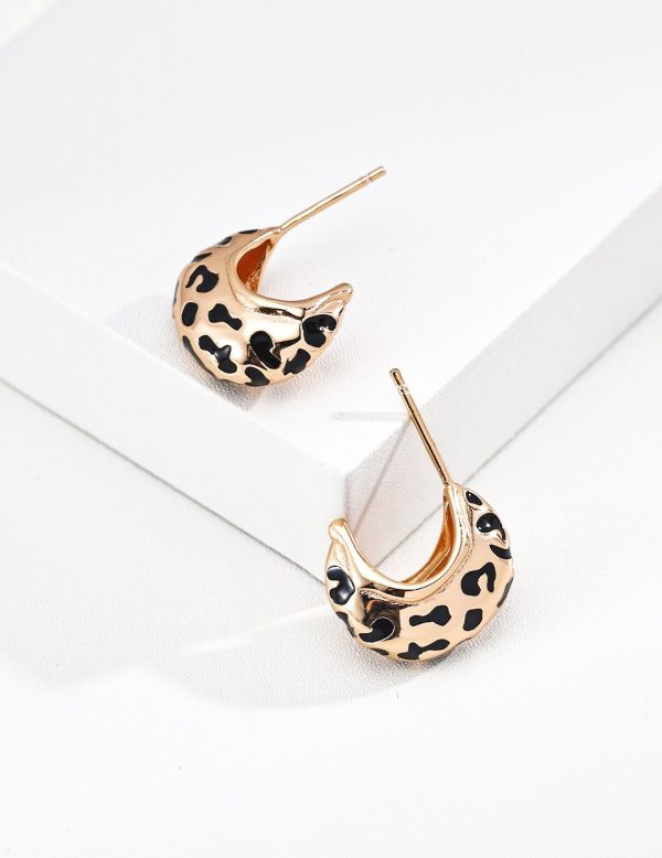 S925-Sterling-Silver-Earrings-1